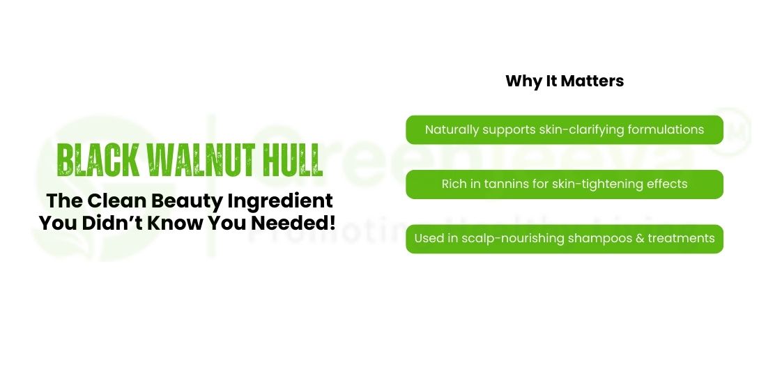 Black Walnut Hull: The Clean Beauty Ingredient You Didn’t Know You Needed!